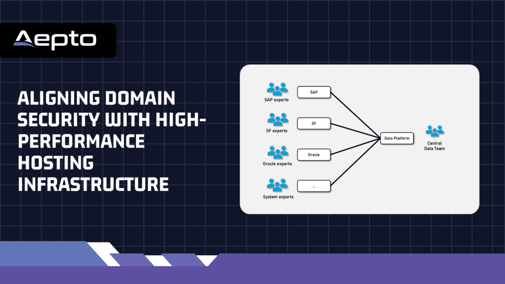 Aligning Domain Security with High-Performance Hosting Infrastructure