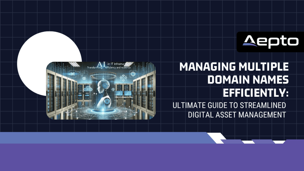 Managing Multiple Domain Names Efficiently