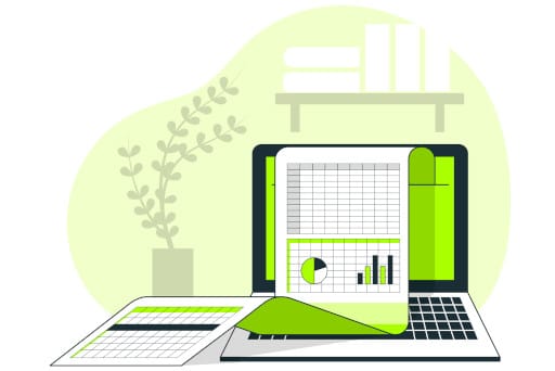 Why Spreadsheets Are Not Enough for Large Domain Portfolios